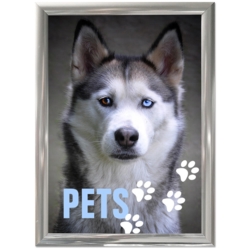 Klapramme med 25 mm kanter i rustfrit stål look, <Str.: A4 - 70x100 cm