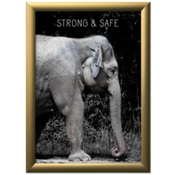 Klapramme i mat gold med 25 mm klapkanter 25 mm bredde, str. A4 - 70x100 cm