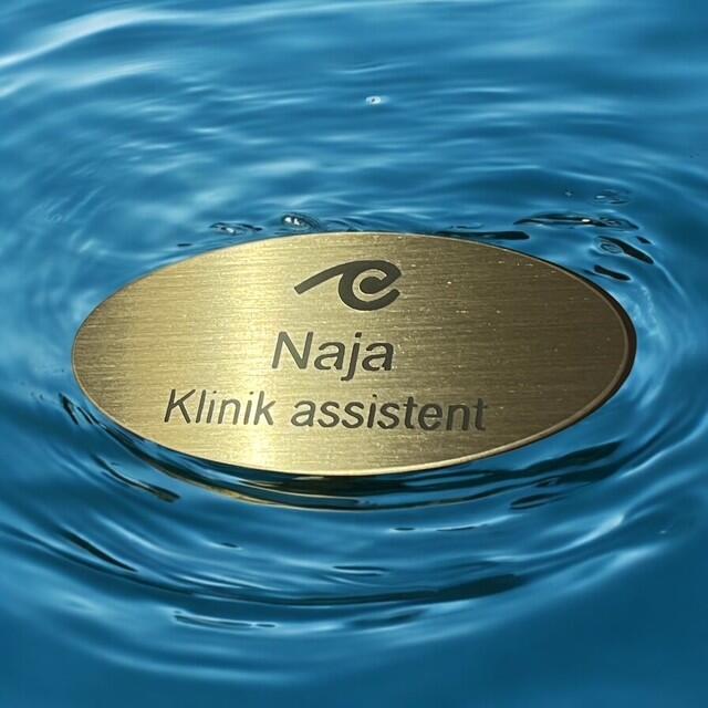 Oval messingnavneskilt med logo & navn