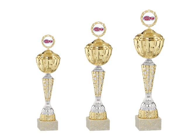 Pokal Hertugen 480 mm