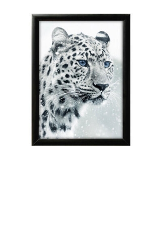 Sort klapramme, 70x100 cm