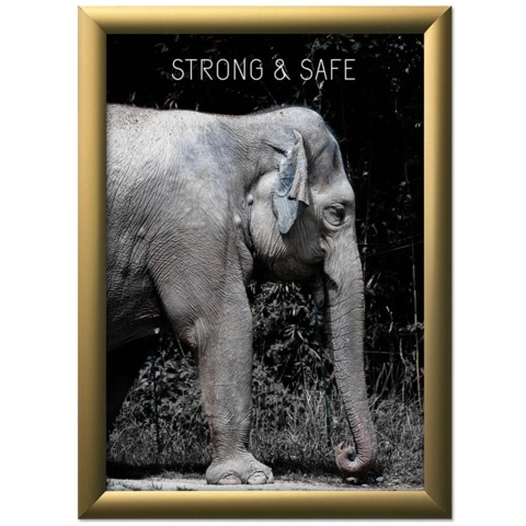 Klapramme i mat gold med 25 mm klapkanter 25 mm bredde, str. A4 - 70x100 cm