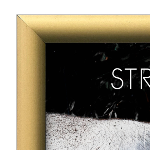 Klapramme i mat gold med 25 mm klapkanter 25 mm bredde, str. A4 - 70x100 cm