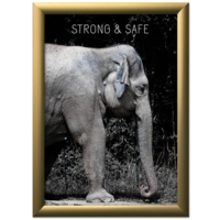 Klikramme med 25mm aluminium profil, guld - A1 (59,4 x 84,1 cm)